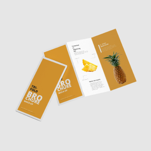 Brochures